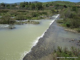 Torrente Saracena